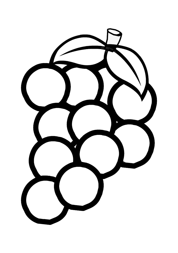 Coloring page A sprig of grapes Print